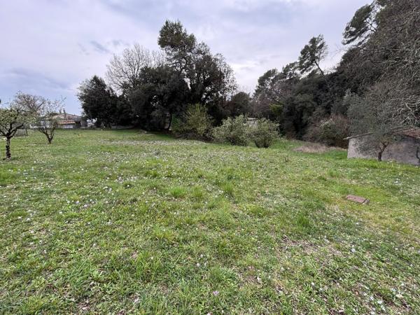 TERRAIN CONSTRUCTIBLE à MOUGINS