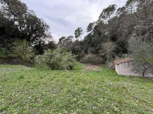 TERRAIN CONSTRUCTIBLE à MOUGINS