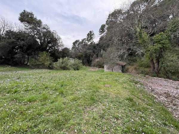 TERRAIN CONSTRUCTIBLE à MOUGINS