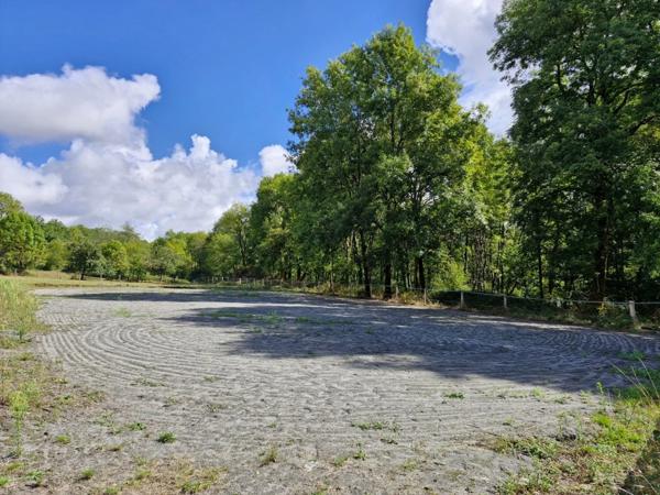 🌟 Rare à la vente – Propriété équestre en pierres 🌳 14 hectares de terrain