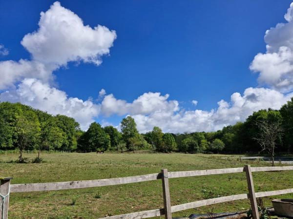 🌟 Rare à la vente – Propriété équestre en pierres 🌳 14 hectares de terrain