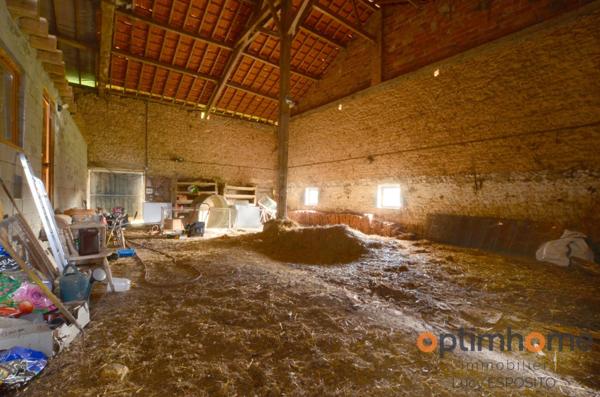 🌟 Rare à la vente – Propriété équestre en pierres 🌳 14 hectares de terrain