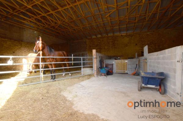 🌟 Rare à la vente – Propriété équestre en pierres 🌳 14 hectares de terrain