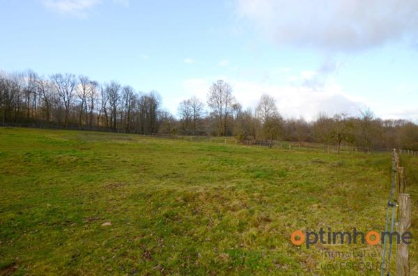 🌟 Rare à la vente – Propriété équestre en pierres 🌳 14 hectares de terrain