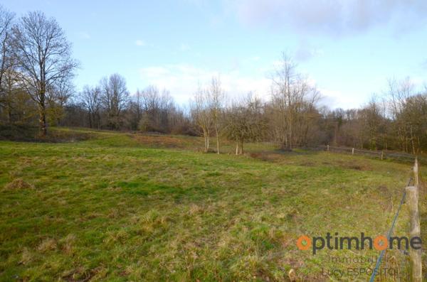 🌟 Rare à la vente – Propriété équestre en pierres 🌳 14 hectares de terrain