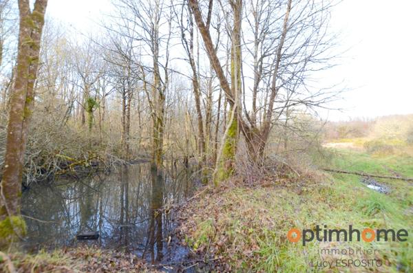 🌟 Rare à la vente – Propriété équestre en pierres 🌳 14 hectares de terrain