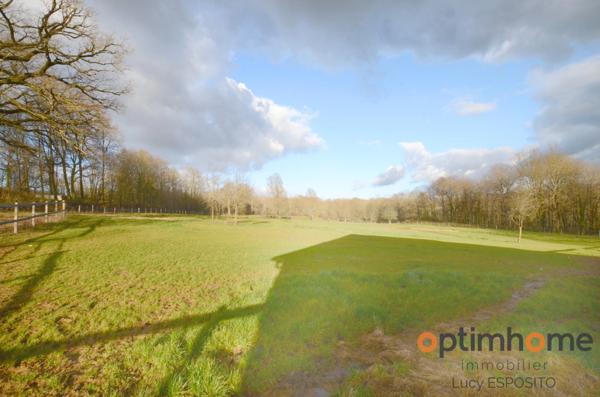🌟 Rare à la vente – Propriété équestre en pierres 🌳 14 hectares de terrain