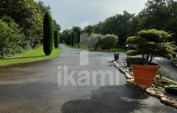 MAGNIFIQUE PROPRIETE DE 10000 m2