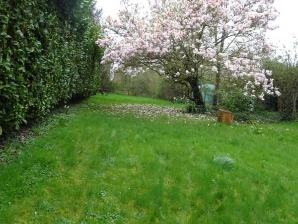 Location Maison avec jardin 6 pièces Attiches (59551)
