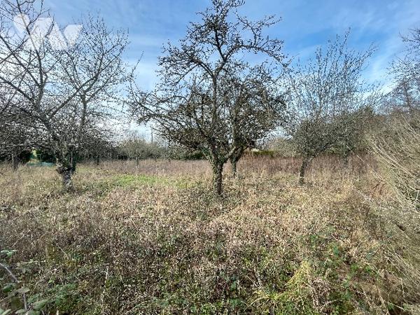 Pavillon avec garage et verger