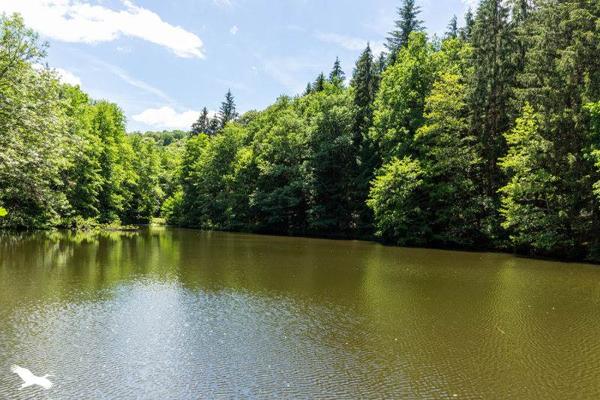 Maison à vendre 299 000 € Arnac-Pompadour 4 p 106 m² DPE