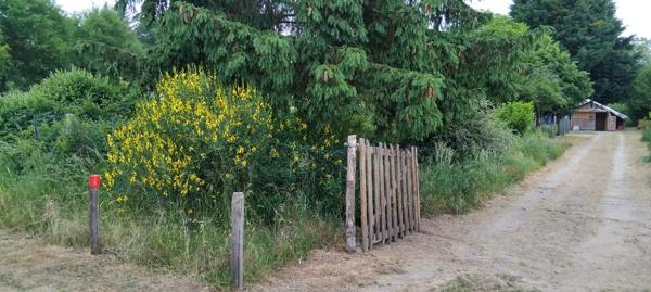 Terrain de loisirs Les Bordes