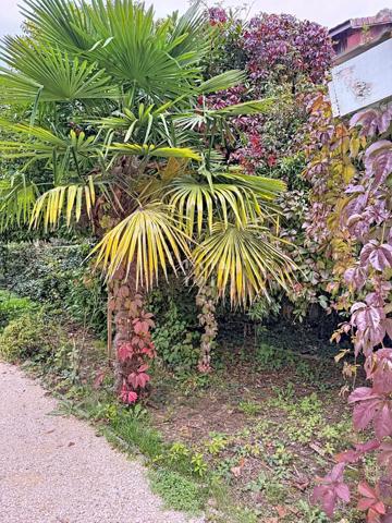 A vendre à GAILLARD (74), Maison Bourgeoise 7 pièces de 227 m² + dépendance (aménageable) sur terrain d'env. 1200 m²