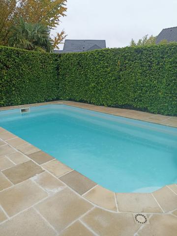 Maison Saint Jean De Braye 5 pièces 158.08 m2 + piscine