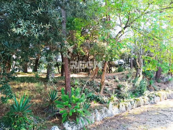 Saint-Georges-de-Didonne (17110) Appartement proche plage