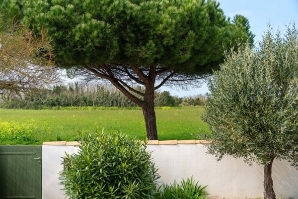 Île de Ré - Saint Martin de Ré - Maison familiale proche plage
