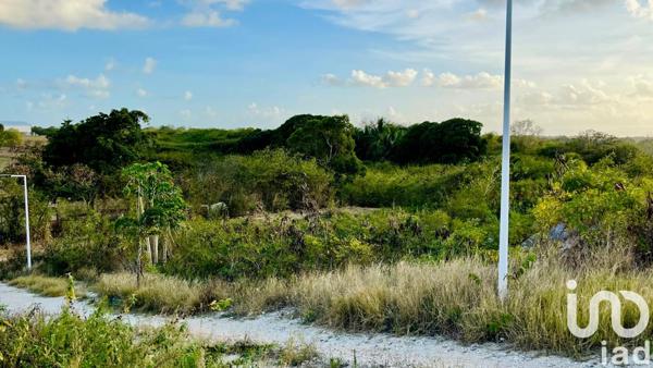 Land for sale 500 m² Anse-Bertrand