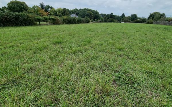 Terrain à vendre    Fondettes