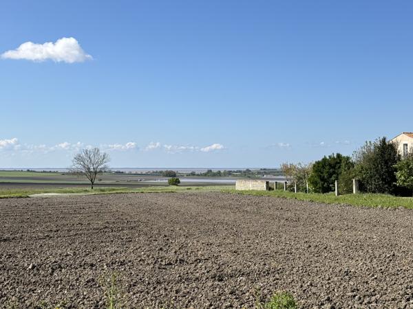 Superbe Villa 220 m², Sud Royan, 10 minutes des plages Arces (17120)