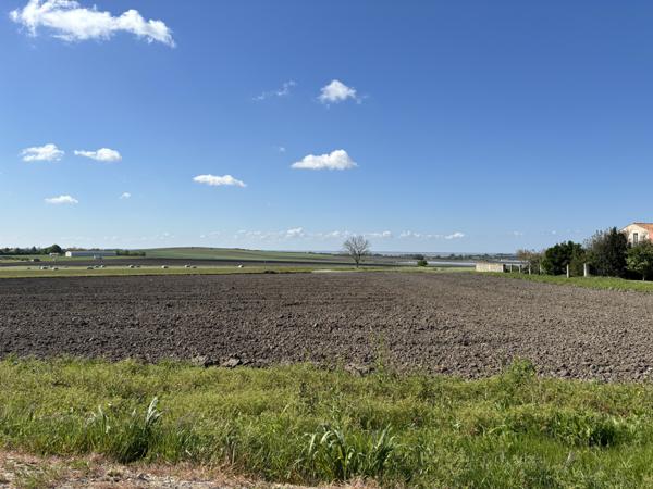 Superbe Villa 220 m², Sud Royan, 10 minutes des plages Arces (17120)