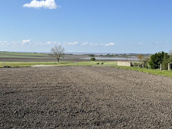 Superbe Villa 220 m², Sud Royan, 10 minutes des plages Arces (17120)