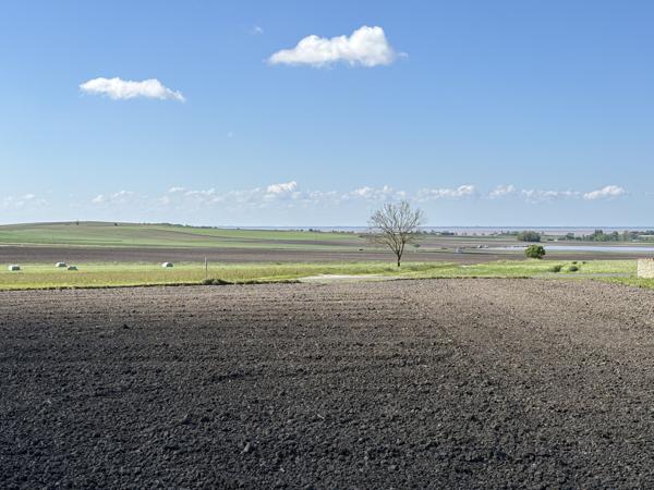 Superbe Villa 220 m², Sud Royan, 10 minutes des plages Arces (17120)