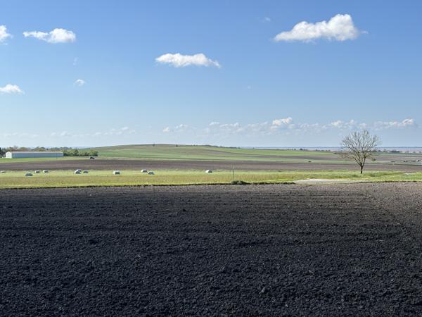 Superbe Villa 220 m², Sud Royan, 10 minutes des plages Arces (17120)