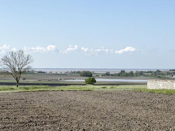 Superbe Villa 220 m², Sud Royan, 10 minutes des plages Arces (17120)