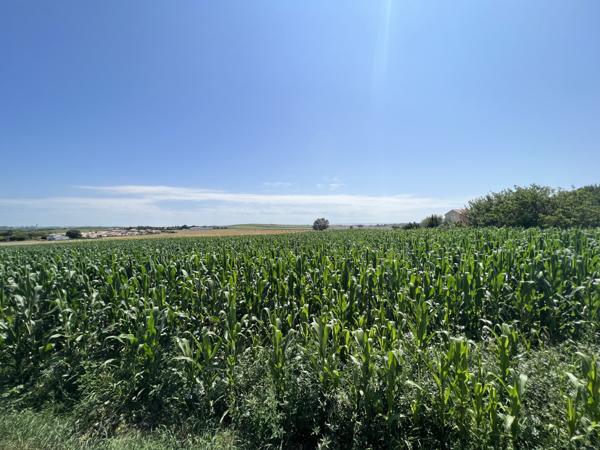 Superbe Villa 220 m², Sud Royan, 10 minutes des plages Arces (17120)