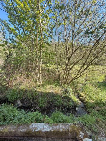 MAGNIFIQUE Moulin de Peurousseau 142m², 4 chambres sur terrain de 4663m² 149 000 €
