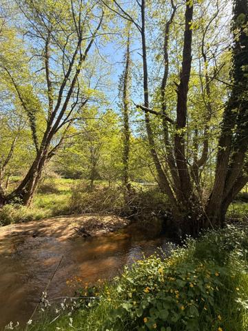 MAGNIFIQUE Moulin de Peurousseau 142m², 4 chambres sur terrain de 4663m² 149 000 €