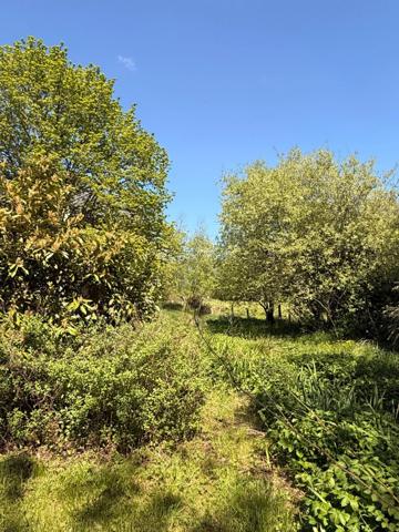 MAGNIFIQUE Moulin de Peurousseau 142m², 4 chambres sur terrain de 4663m² 149 000 €