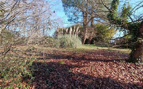 Maison à vendre    5 pièces •  Ambarès-et-Lagrave