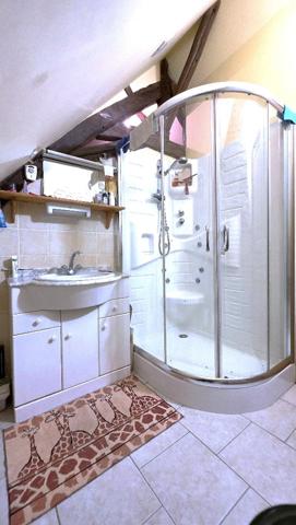 Maison à MEZIERES EN BRENNE (36290)