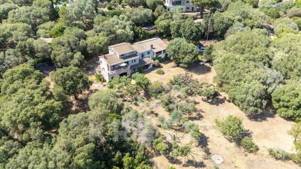 EXCLUSIVITÉ PINARELLO Villa vue mer.