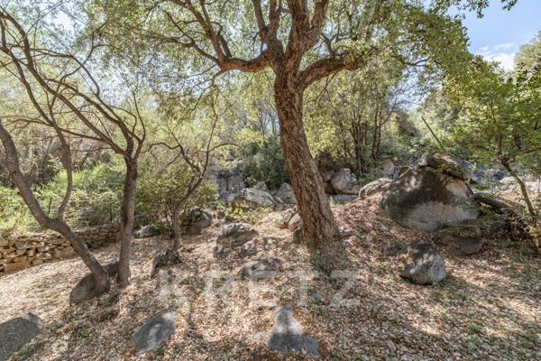 EXCLUSIVITÉ PINARELLO Villa vue mer.