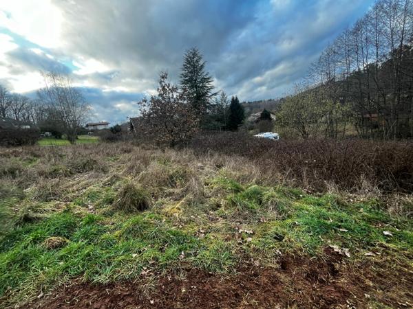 Terrain à vendre    Saint-Dié-des-Vosges