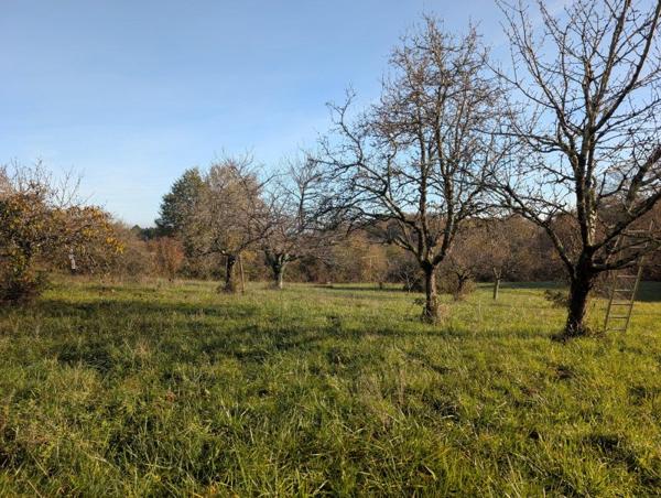 Vente / Terrain constructible