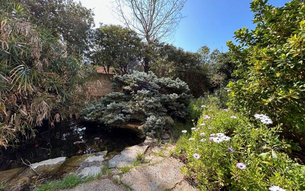 Appartement à vendre    8 pièces • 187 m2 Sète