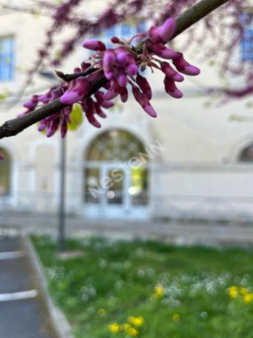 Appartement T2 au Jardin des Plantes à Poitiers