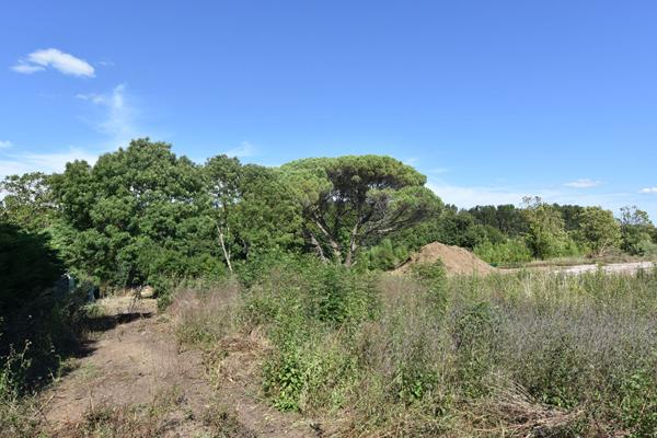 17640 VAUX SUR MER Magnifique terrain sur VAUX SUR MER