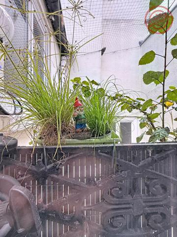 Appartement Paris 2 pièce(s) 30m2