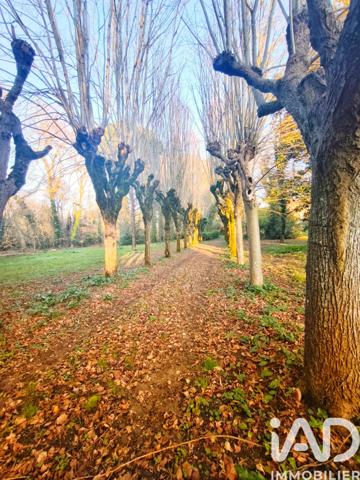 Maison à vendre 10 pièces 281 m² Échiré