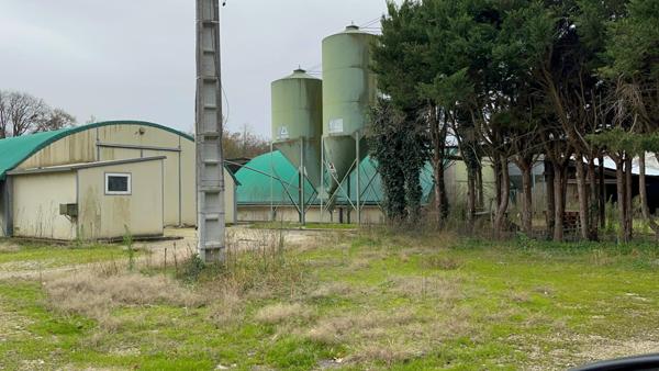 Idéal élevage de volailles ou chevaux : vend maisonnette et 3 grands tunnels d'élevage plus volière