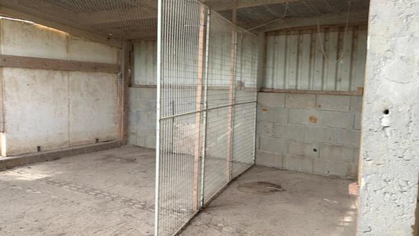 Idéal élevage de volailles ou chevaux : vend maisonnette et 3 grands tunnels d'élevage plus volière