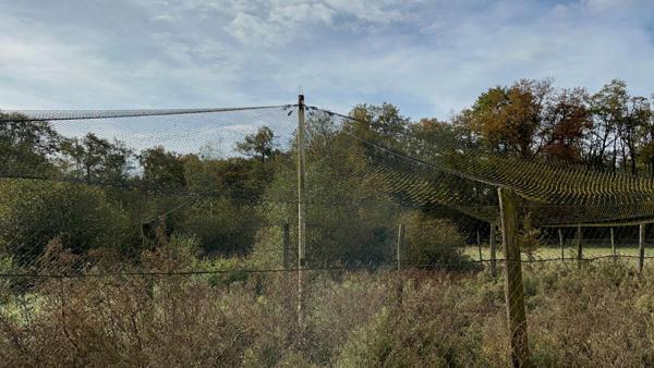 Idéal élevage de volailles ou chevaux : vend maisonnette et 3 grands tunnels d'élevage plus volière