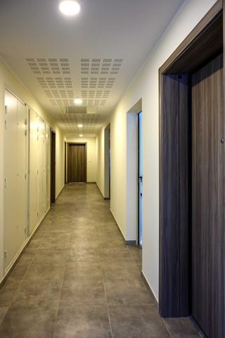 Borgo (20290) T3 avenue de borgo