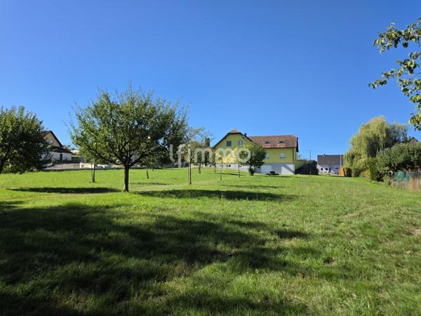 Belle maison familiale avec espace indépendant et grand terrain