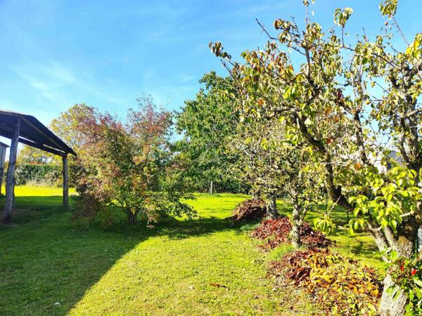 MAISON AVEC DEPENDANCES ET GRAND TERRAIN