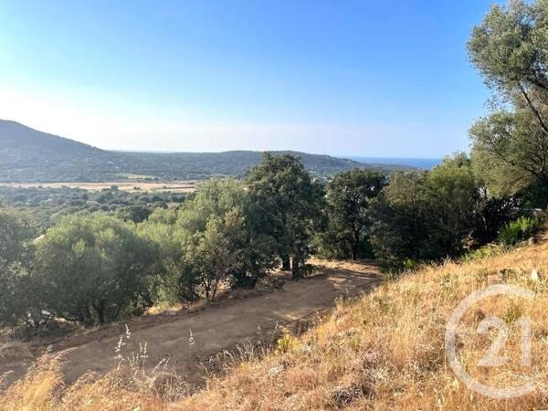 Terrain à vendre  2760 m2 BELGODERE - 202